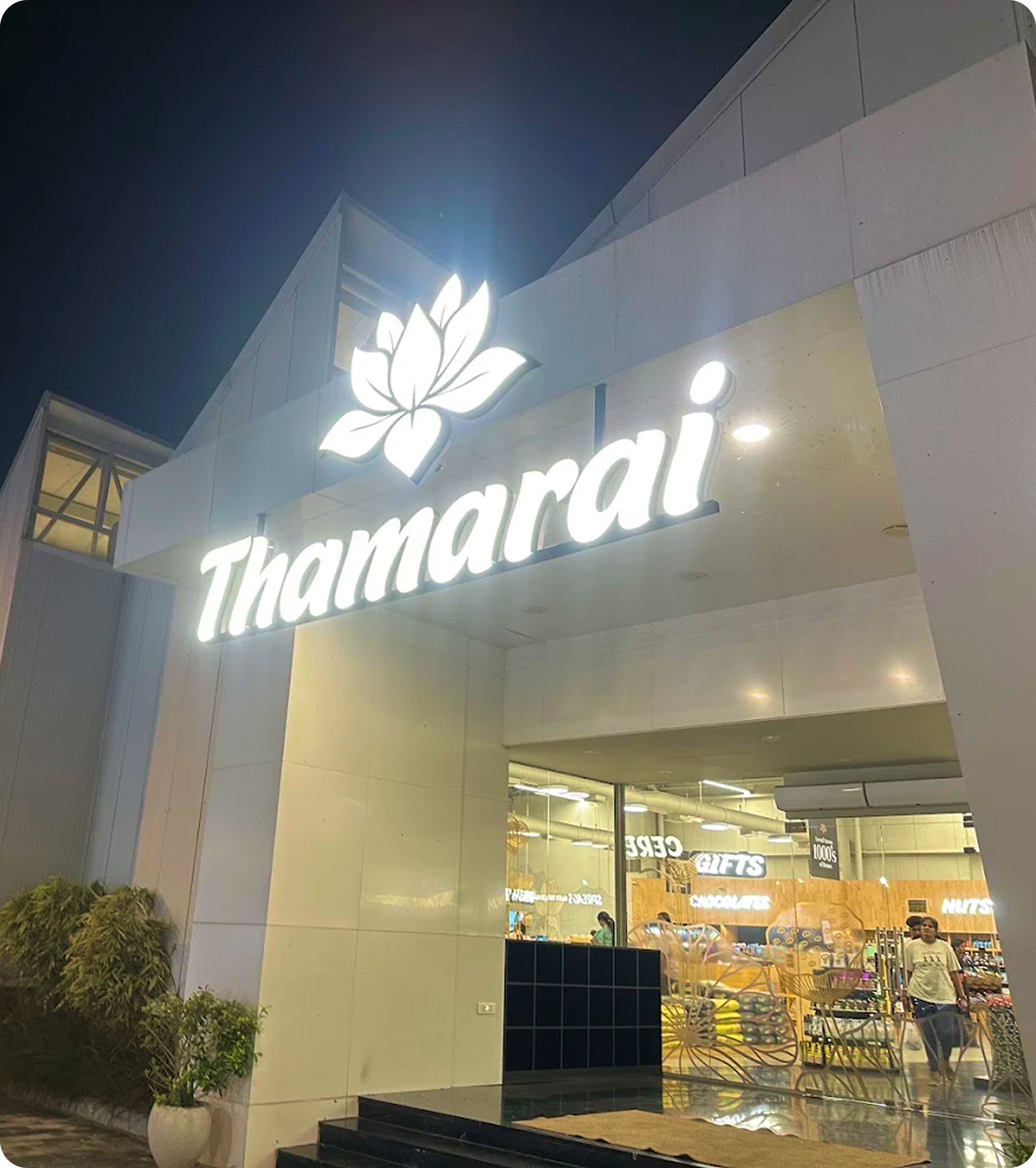 Thamarai storefront at night with a glowing lotus sign